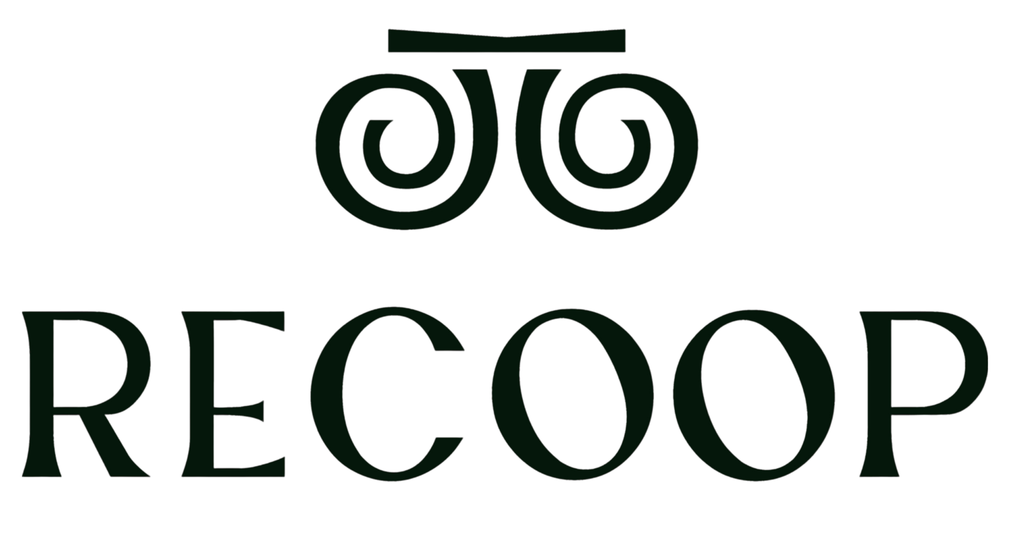 RECOOP Ltd logo